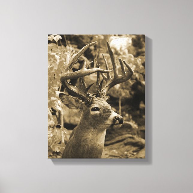 Impressão Em Tela Trophy Deer (Frente)