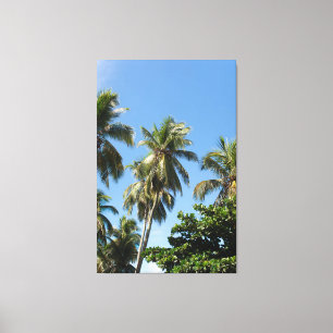 Impressão Em Tela Tropical Coconut Palm Trees Against a Bright Blue 