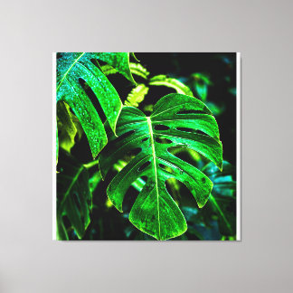 Impressão Em Tela Tropical Monstera Glow – Jungle Leaf Photography