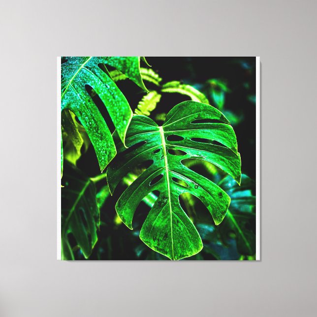 Impressão Em Tela Tropical Monstera Glow – Jungle Leaf Photography (Frente)