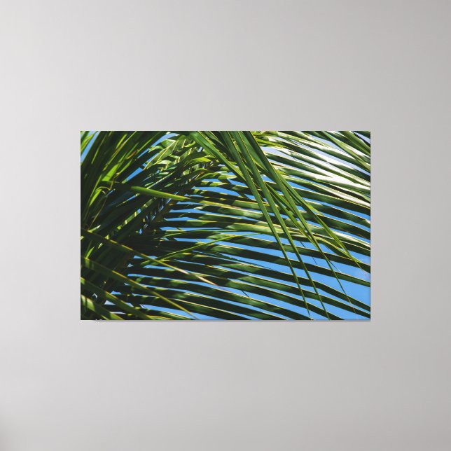 Impressão Em Tela Tropical Palm Canopy (Frente)