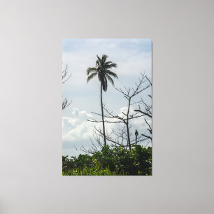 Impressão Em Tela Tropical Resilience: Solitary Palm and Winter Silh