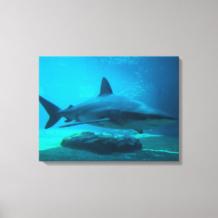 Impressão Em Tela Tubarão-charuto (Carcharhinus Obscurus), Ushaka