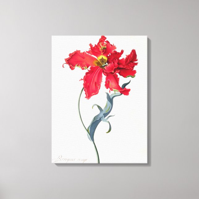 Impressão Em Tela Tulip: Rota Perroquet (Frente)