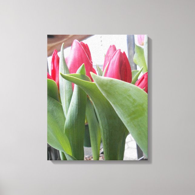 Impressão Em Tela Tulip Vermelho (Frente)