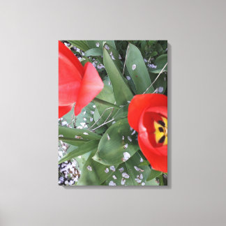 Impressão Em Tela tulipa vermelha