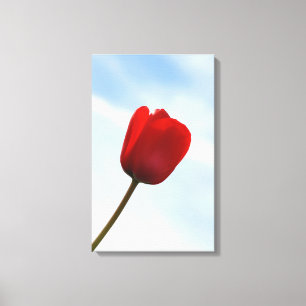 Impressão Em Tela Tulipa Vermelha Envolta em Tela