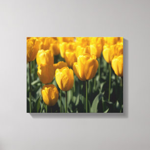 Impressão Em Tela Tulipas 3