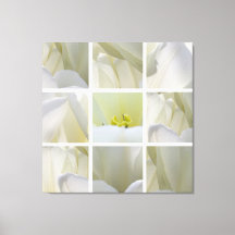 Tulipas Brancas ao Quadrado - Tela de Arte Fina