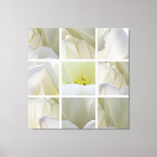 Impressão Em Tela Tulipas Brancas ao Quadrado - Tela de Arte Fina