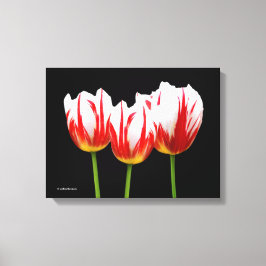 Impressão Em Tela Tulipas de Folha Elegante de Maple
