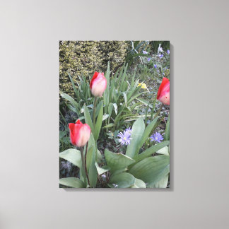 Impressão Em Tela Tulipas de jardim vermelho