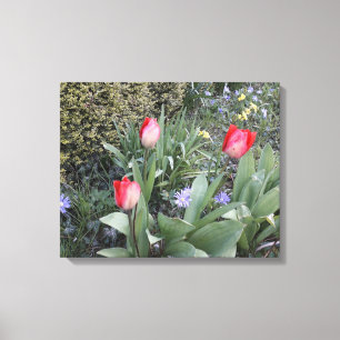 Impressão Em Tela Tulipas de jardim vermelho