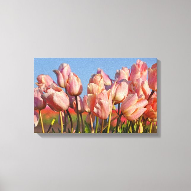Impressão Em Tela Tulipas de primavera rosa (Frente)