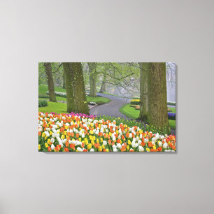 Impressão Em Tela Tulipas e estrada, Jardins Keukenhof, Lisse,