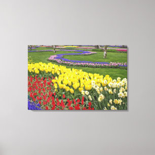 Impressão Em Tela Tulipas, Jacintos e Narcisos,