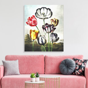 Impressão Em Tela Tulipas Multicolor em Estilo Regency Mal-humorado
