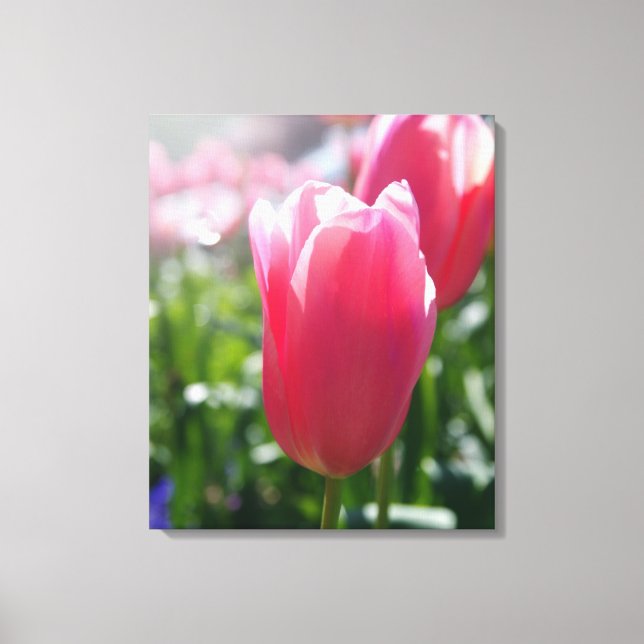 Impressão Em Tela Tulipas rosa (Frente)