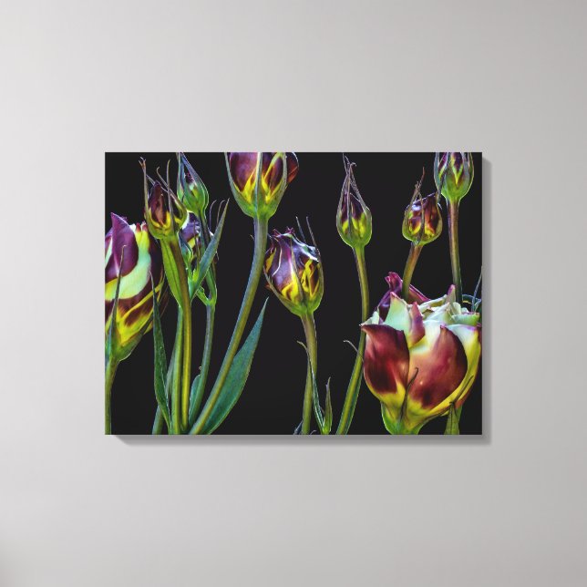 Impressão Em Tela Tulipas Roxas Eetéreas (Frente)