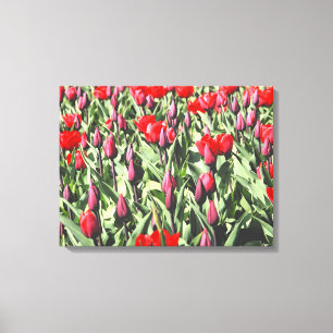 Impressão Em Tela Tulipas vermelhas