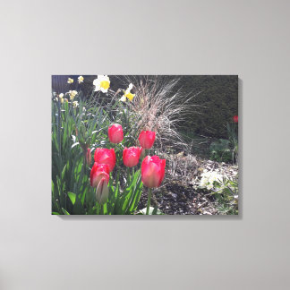Impressão Em Tela Tulipas vermelhas no jardim