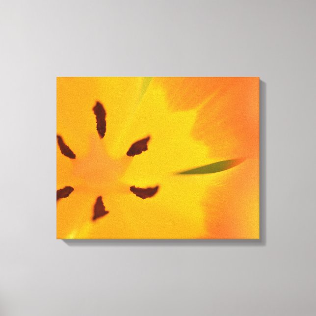 Impressão Em Tela Tulpa da Flor (Frente)