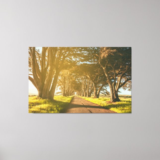 Impressão Em Tela Túnel Cipress (Frente)