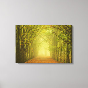 Impressão Em Tela Túnel de luz
