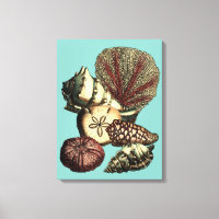 Turquesa Shell e Red Coral Collection