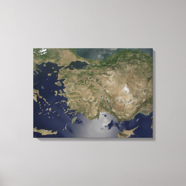 Impressão Em Tela Turquia (Frente)