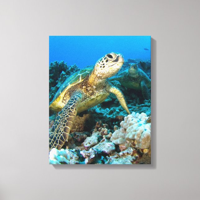 Impressão Em Tela Turtle Pair (Frente)