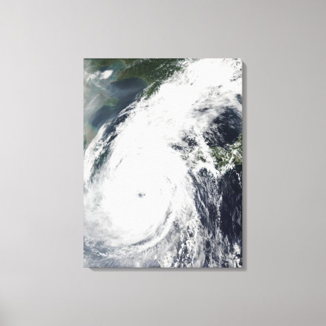 Impressão Em Tela Typhoon Rusa 2 (Frente)