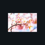 Impressão Em Tela Um Belo Monte De Flores Sakura No Fundo Rosa<br><div class="desc">Um belo monte de flores sakura de cor rosa. Folhas de laranja. O fundo da cor rosa da cereja floresce e do céu azul. A beleza da estação de primavera. Uma pintura digital muito grande a partir de uma fotografia. Impressão floral esticada de tela para decorar seu lugar ou para...</div>