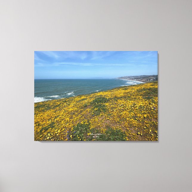 Impressão Em Tela Um Blooming California: Mori Point (Frente)