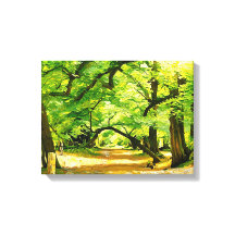 Um Caminho da Floresta, Robin Hood Forest