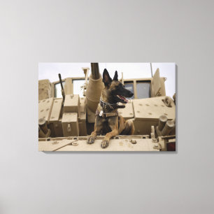 Impressão Em Tela Um cão de funcionamento militar senta-se em um