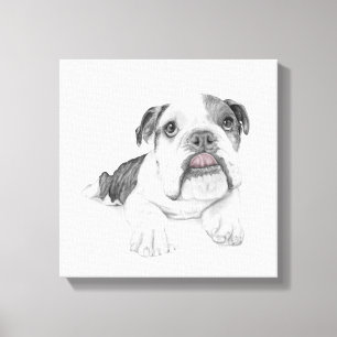 Impressão Em Tela Um Desenho Sassy Bulldog