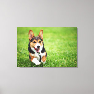 Impressão Em Tela Um filhote de cachorro feliz e energético do Corg