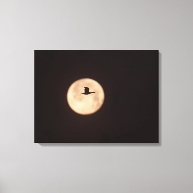 Impressão Em Tela Um Ganso De Neve Contra Uma Lua Cheia | Novo Méxic (Frente)