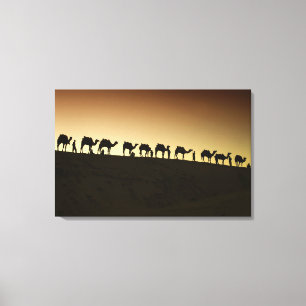 Impressão Em Tela Um grupo de pastores de camelos com seus camelos