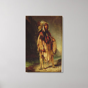 Impressão Em Tela Um indiano norte-americano em uma paisagem