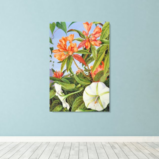 Impressão Em Tela Um Javan Rhododendrum e Ipomoea (Insitu(piso de madeira))
