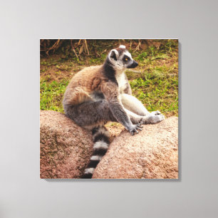 Impressão Em Tela um lêmure de madagascar em tela esticada