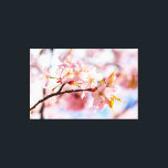Impressão Em Tela Um Lindo Conjunto de Flores de Sakura em Fundo Ros<br><div class="desc">Um lindo conjunto de flores de sakura de cor rosa. Folhas laranjas. O fundo da cor rosa das flores de cerejeira e céu azul. A beleza da estação da primavera. Uma pintura digital extragrande a partir de uma fotografia. Impressão em tela esticada floral incrível para decorar o seu local ou...</div>