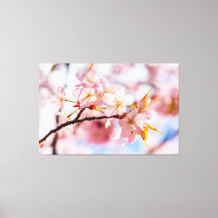 Impressão Em Tela Um Lindo Conjunto De Flores De Sakura Em Fundo Ros