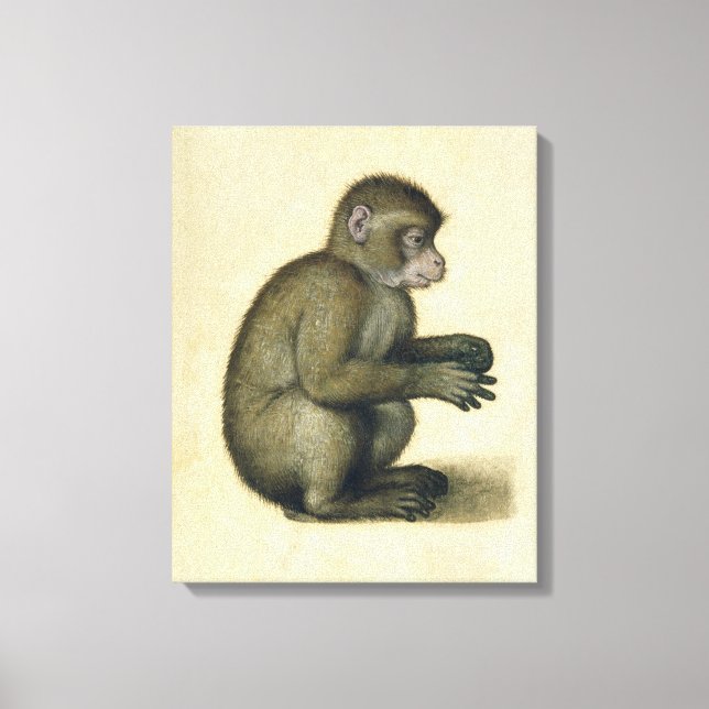 Impressão Em Tela Um Macaco (Frente)