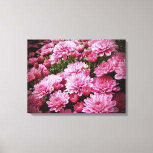 Impressão Em Tela Um mar de crisântemos cor-de-rosa