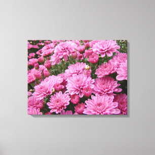 Impressão Em Tela Um mar dos crisântemos cor-de-rosa #2