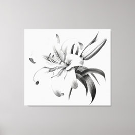 Impressão Em Tela Um Momento de Bloom Lily Pencil Sketch