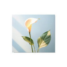 Um momento de paz Calla Lily Realismo Minimal